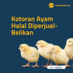 Kotoran Ayam Halal Diperjual-Belikan