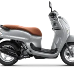 Scoopy